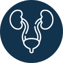 Urology